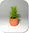 Miniatur Grünpflanze